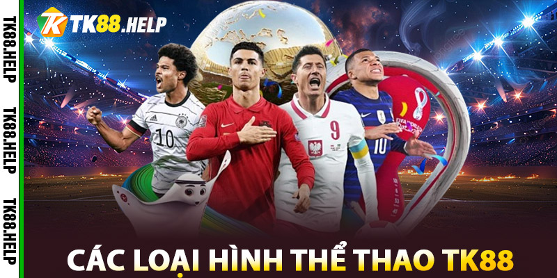 Thể Thao TK88 – Kịch Tính Từng Giây, Lợi Nhuận Từng Trận 2 Các loại hình Thể Thao TK88