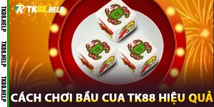 Cách Chơi Bầu Cua TK88 Hiệu Quả